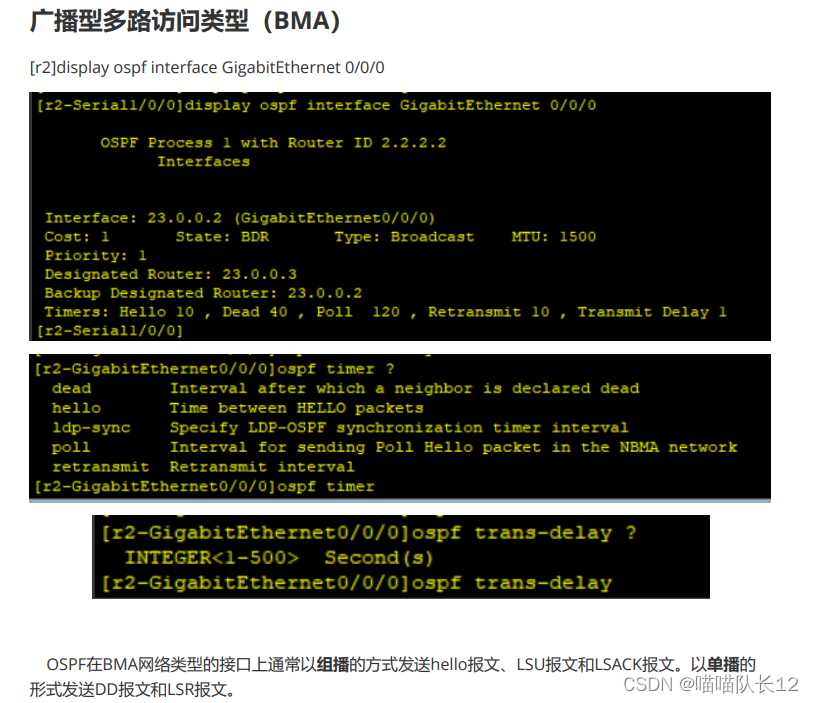 ospf的非骨干区域 ospf非骨干区域链型组网_ospf的非骨干区域_22