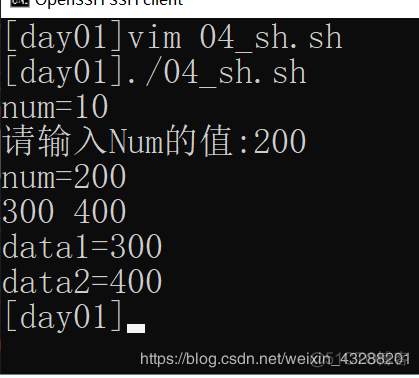 ansable sudo 运行shell脚本 shell脚本使用sudo_linux_20