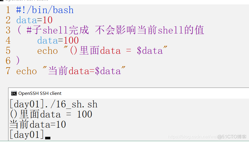 ansable sudo 运行shell脚本 shell脚本使用sudo_bash_39