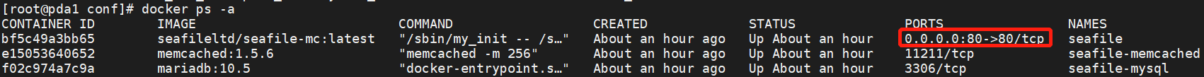 docker seata 内部启动在哪里 docker部署seafile_mysql_15