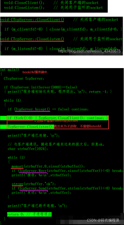 进到容器中查看可用cpu核数命令 查看容器进程_C++_64