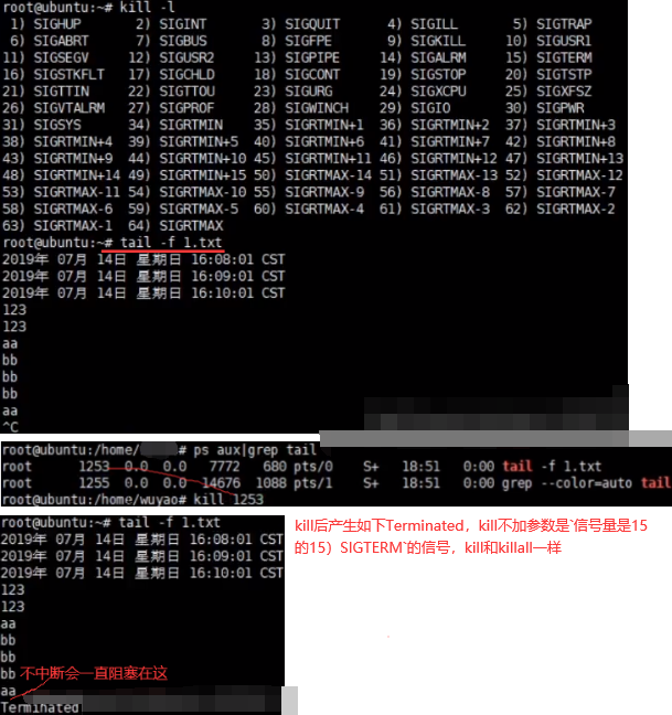 进到容器中查看可用cpu核数命令 查看容器进程_C++_67