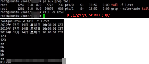 进到容器中查看可用cpu核数命令 查看容器进程_函数重载_68