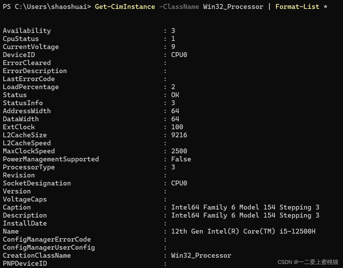 电脑 查看 CPU 架构 windows查看cpu架构_运维_02