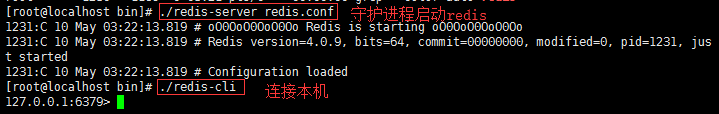 redis的默认安装路径在哪 centos redis默认安装目录_数据库_04