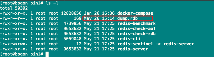 怎么通过配置文件连接redis或dubbo redis 配置文件_Redis_03