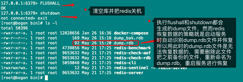 怎么通过配置文件连接redis或dubbo redis 配置文件_数据_05