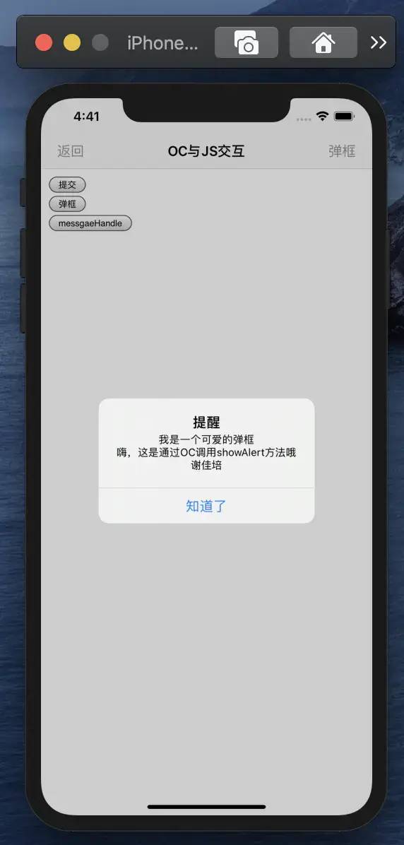 iOS url获取query ios14怎么获取url_ios url编码_03