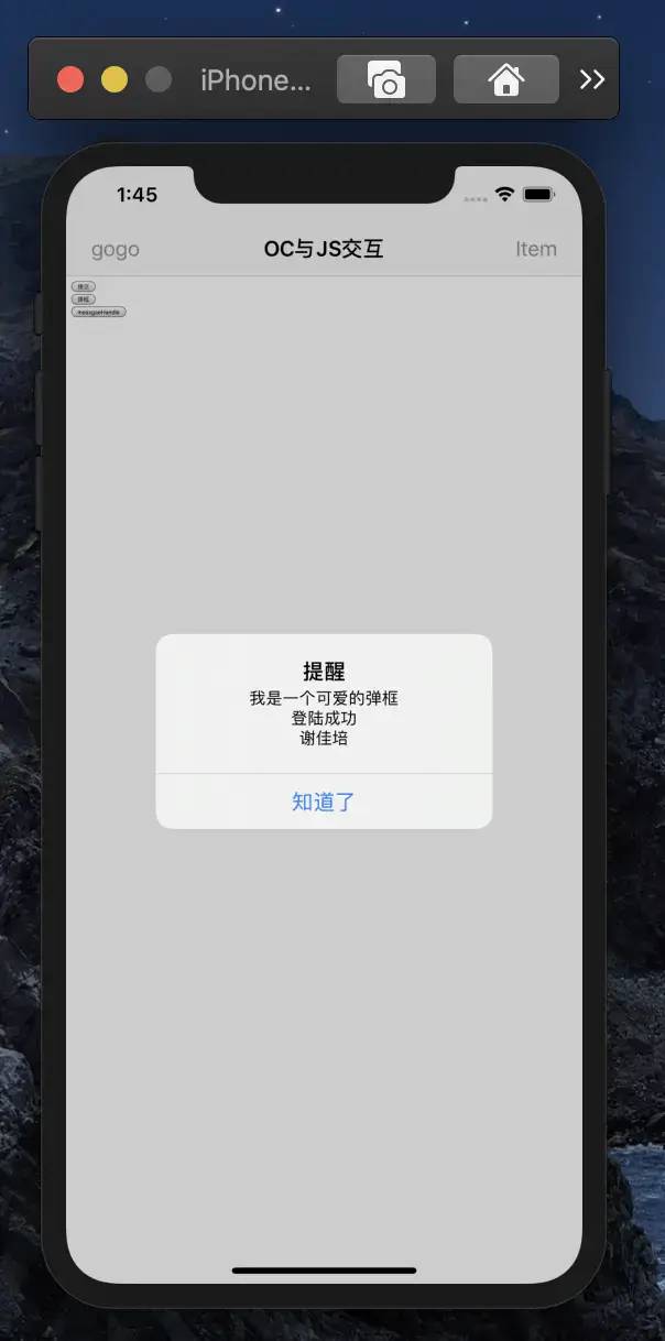 iOS url获取query ios14怎么获取url_ios url编码_04