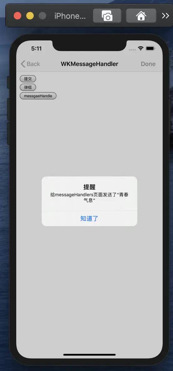 iOS url获取query ios14怎么获取url_ios url编码_05