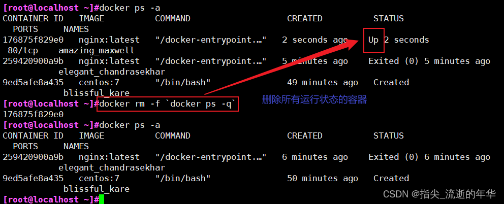 验证docker容器之间网络通不通 docker 容器网络_docker_42