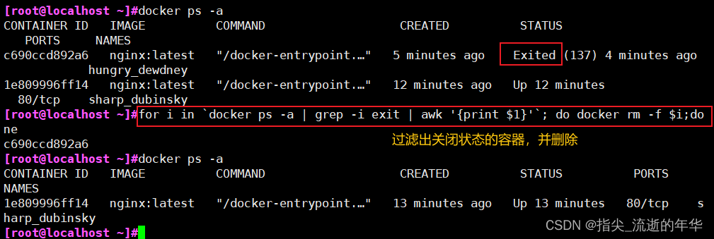 验证docker容器之间网络通不通 docker 容器网络_IP_44