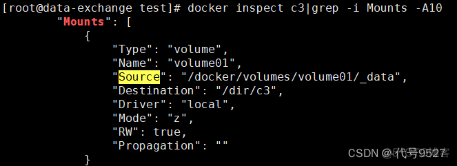 docker 部署avctemq 持久化 docker 容器持久化_数据持久化_04