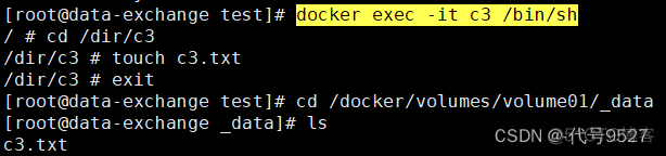 docker 部署avctemq 持久化 docker 容器持久化_容器_06