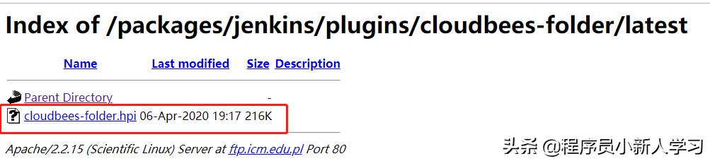 jenkins新手入门下载慢 jenkins ftp下载_jenkins新手入门下载慢_15