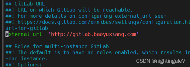 gitlab 部署Java 流水线 gitlab 开发流程_linux_02