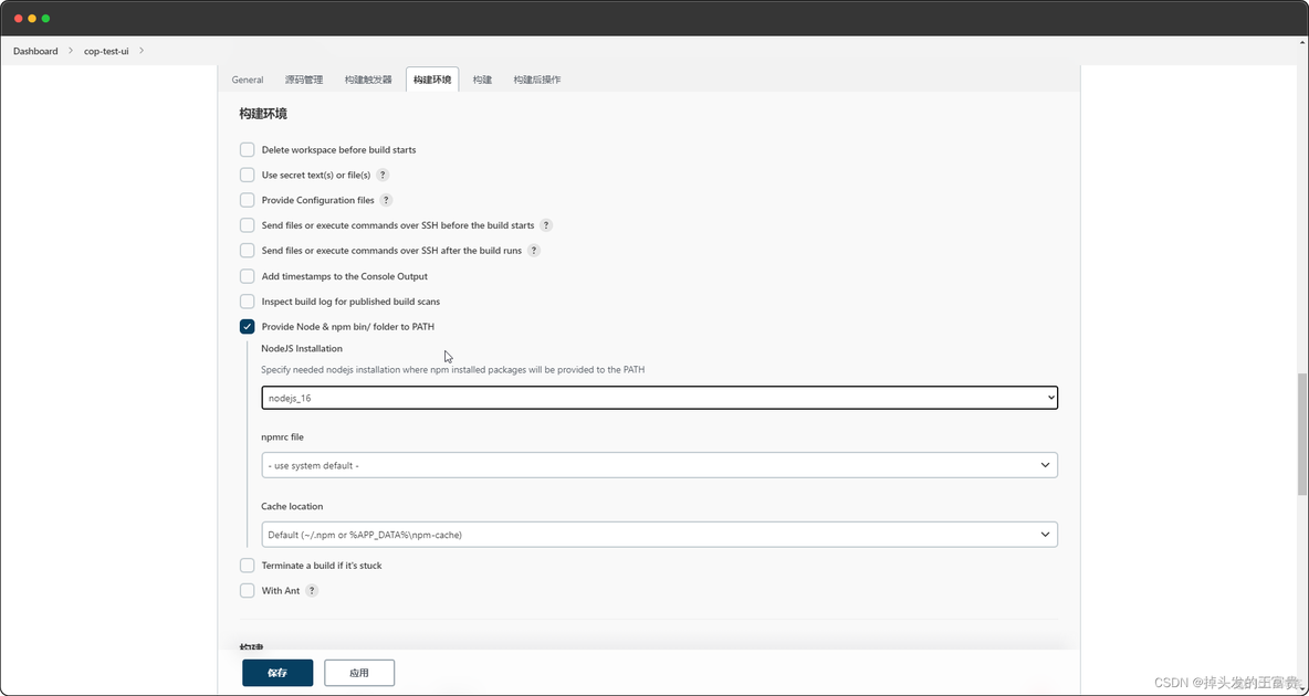 运行Jenkins的node版本 jenkins node插件_运维_20