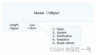 BGP 删除路由 bgp撤销路由报文_网络_03