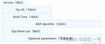 BGP 删除路由 bgp撤销路由报文_TCP_04