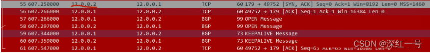 BGP 删除路由 bgp撤销路由报文_BGP 删除路由_05