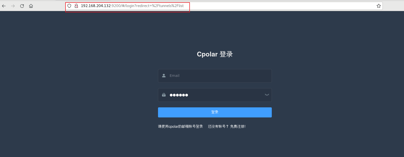 内网 docker安装容器 内网docker部署web_远程访问_05