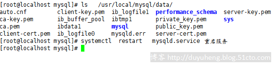 mysql配置ssl加解密 mysql使用ssl连接_SSL_02