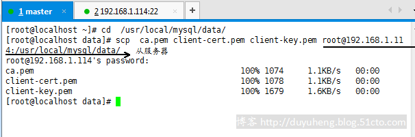 mysql配置ssl加解密 mysql使用ssl连接_mysql配置ssl加解密_11