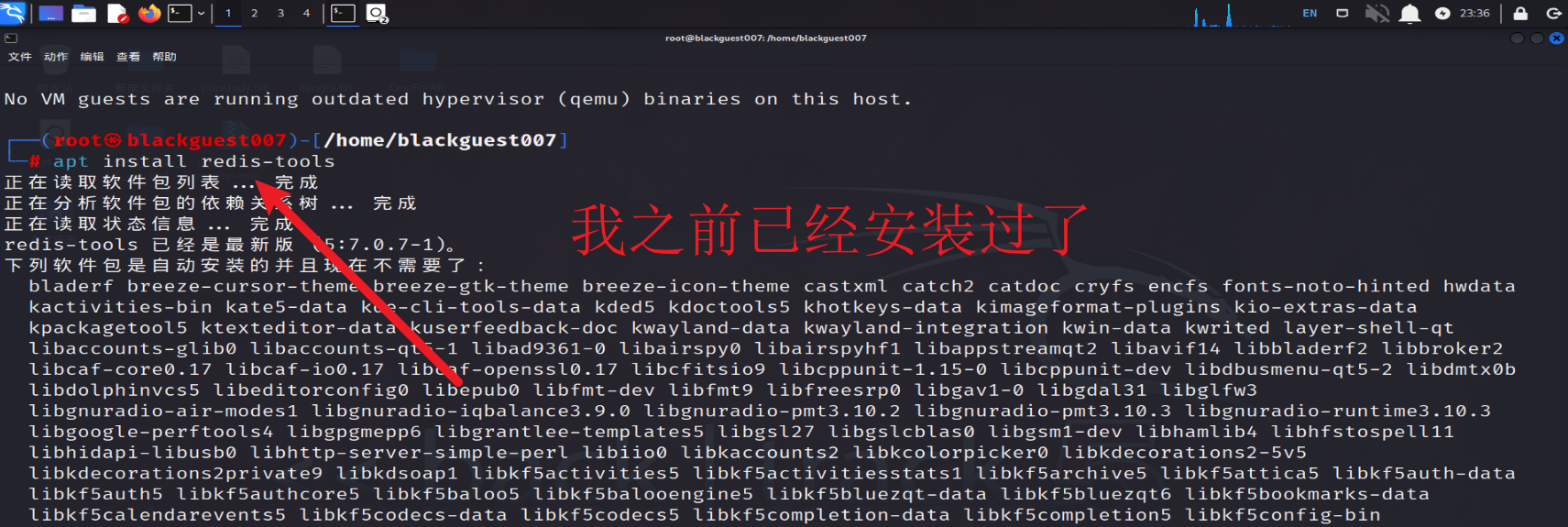 shell脚本中执行redis命令 redis拿shell_shell脚本中执行redis命令