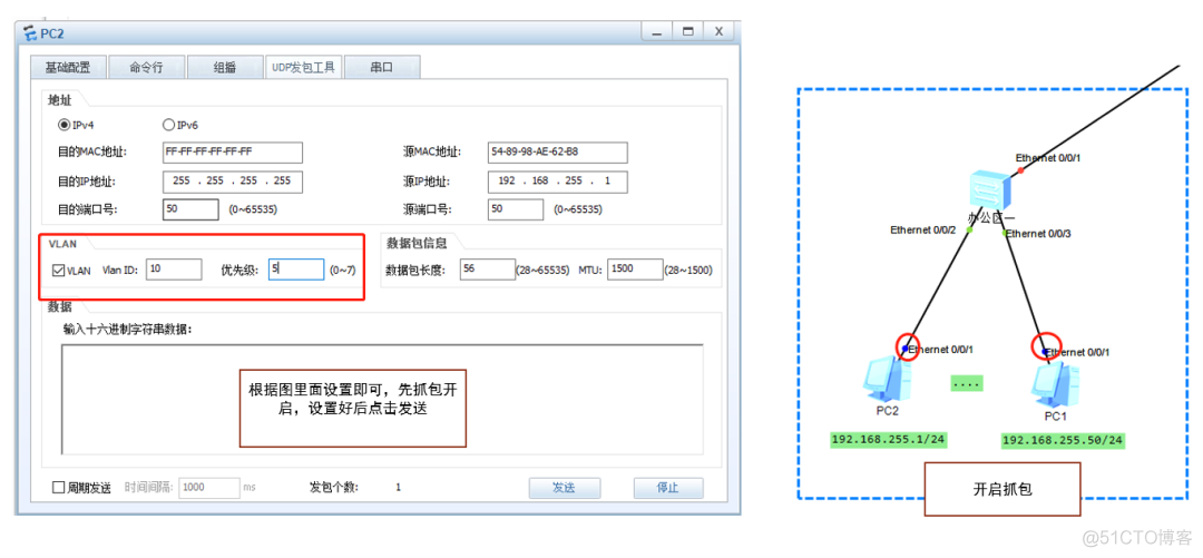 链路类型为 access和trunk 链路的类型_抓包_15