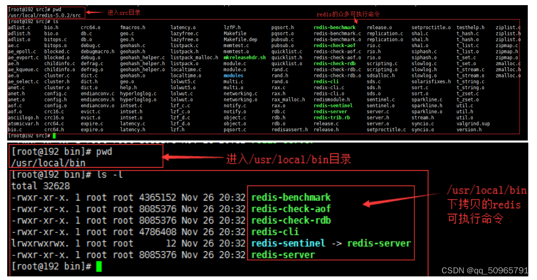 redis 多节点通讯 redis的节点_数据_02