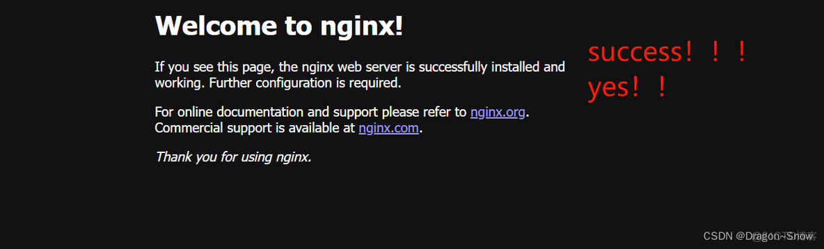 cento启动nginx linux nginx怎么启动_linux_11