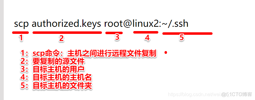 centos8 配置ssh免密登录 centos设置ssh免密登录_SSH_11