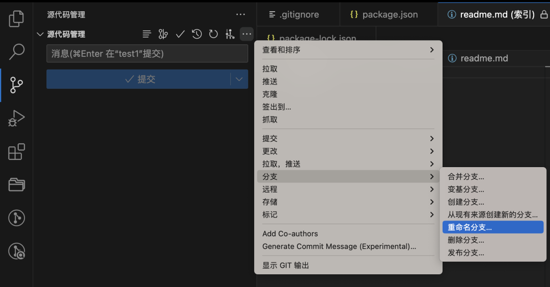 vscode 指定gitlab账号密码 vscode修改git账户的密码_vscode 指定gitlab账号密码_18