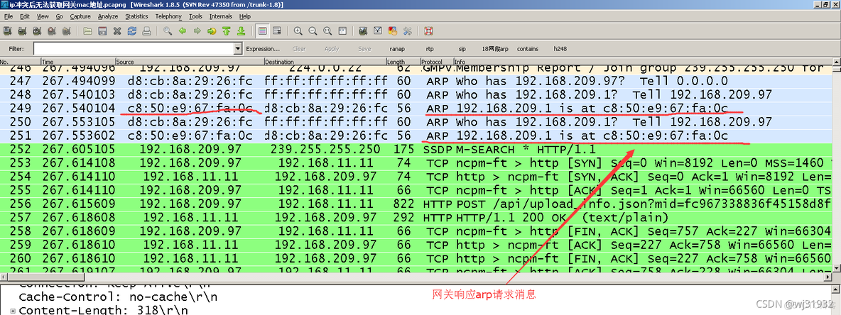 wireshark案例偶发无法打开网站故障分析 wireshark无法上网_arp探查_10