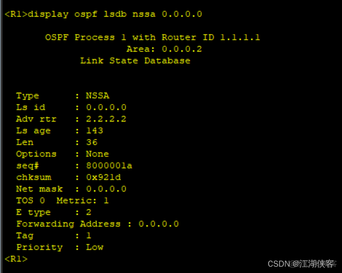 ospf进程启用 ospf启动过程_ospf进程启用_20