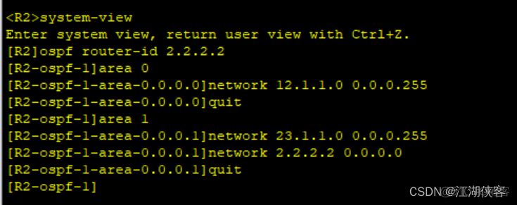 ospf进程启用 ospf启动过程_网络_29