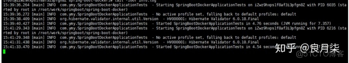 docker启动jar并挂载日志 docker启动jdk_spring_27