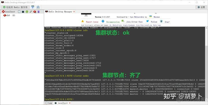 redis官网tar包 redis官网教程_ruby_19