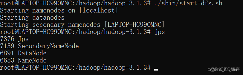 hadoop 下载加速 hadoop如何下载_hadoop 下载加速_04