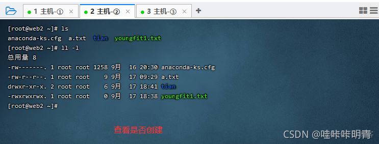 ansible 传文件到目标机器 ansible拷贝文件到多台服务器_配置文件_25