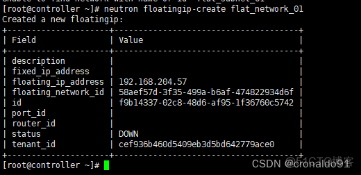 openstack多节点主机服务dowm openstack多个控制节点_IP_79