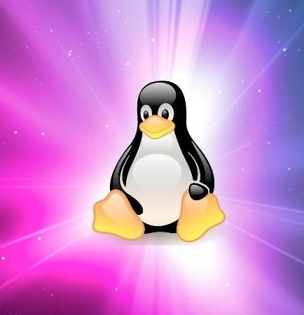 linux的nfs命令 linux设置nfs_linux的nfs命令