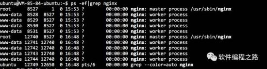 nginx gzip java报错 nginx jar包_环境变量_02