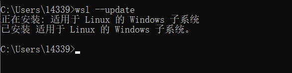 docker里面可以直接改程序吗 docker可以装windows吗_linux_13