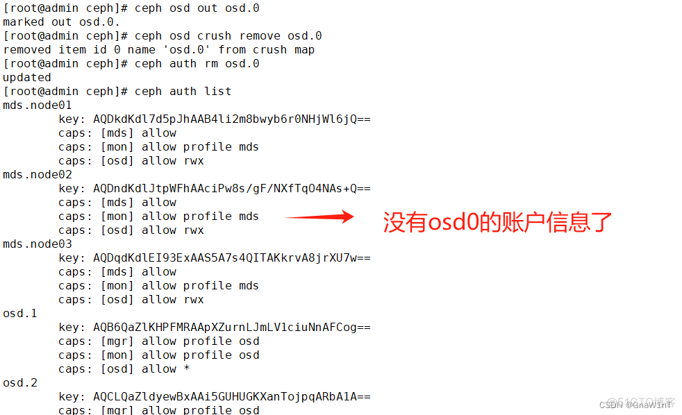 ceph 开发为什么不用Java ceph应用_客户端_55