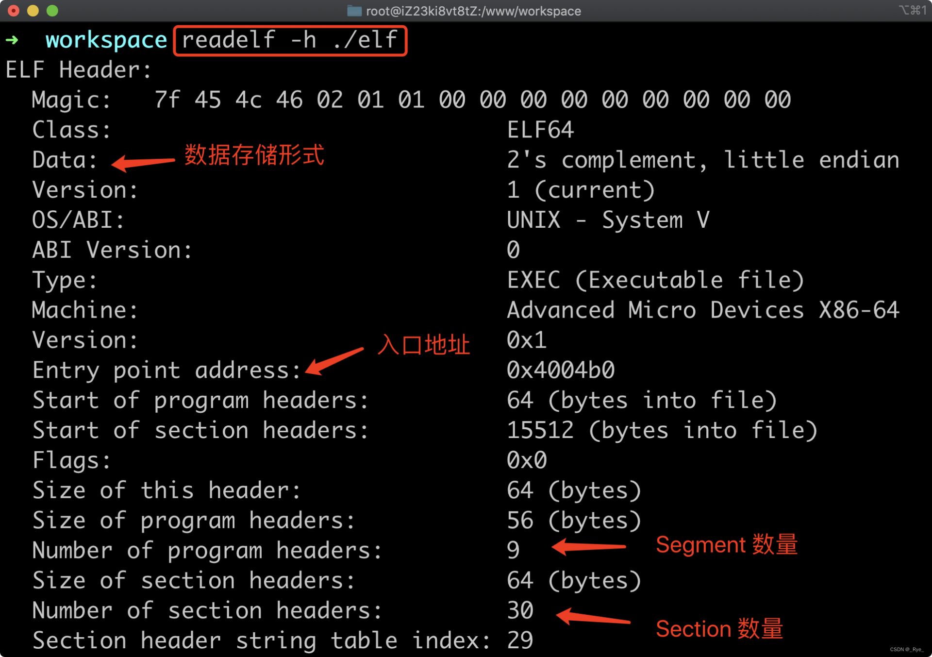 java实现二进制压缩发送 java运行二进制文件_java实现二进制压缩发送_02