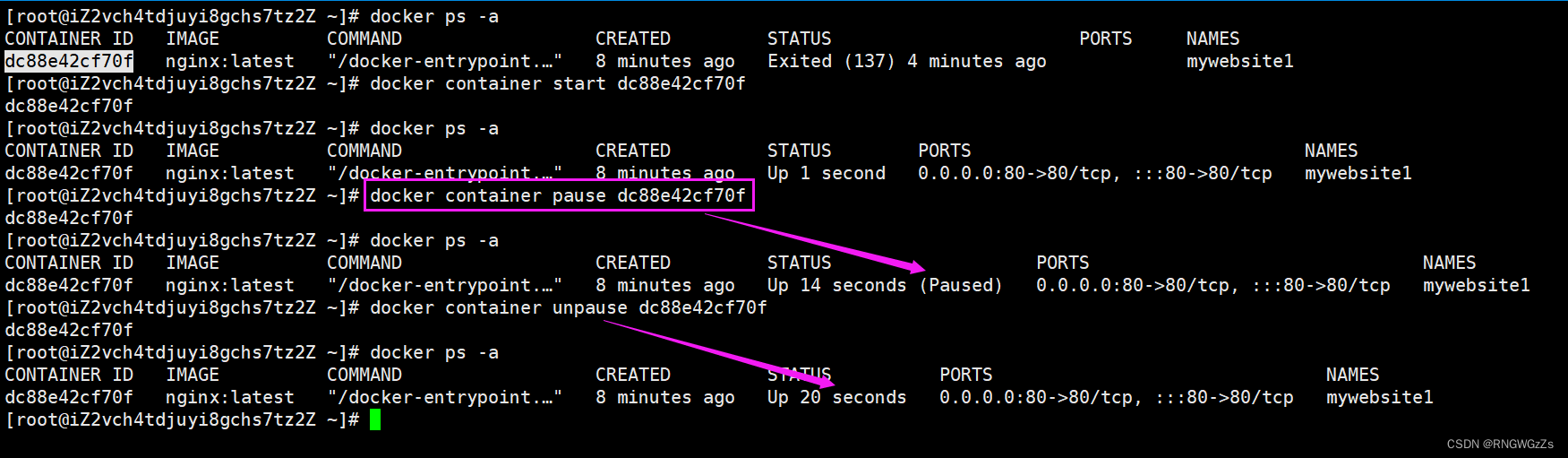 containerd与docker版本的配套 docker container attach_docker_14