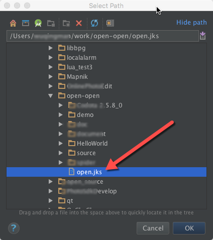 android studio mac 教程 android studio mac版_ci_10