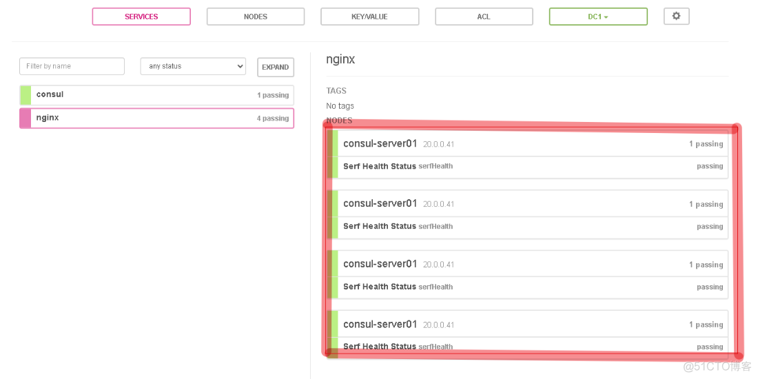 nginx和nginx plus支持功能对比 nginx和consul_运维_05