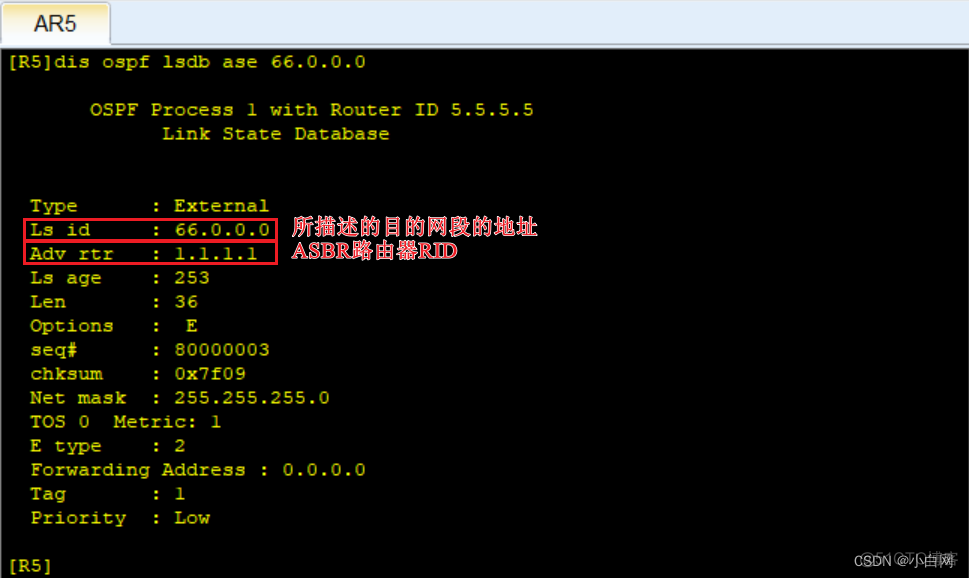 ospf 中4类LSA ospf 五类lsa_tcp/ip_13